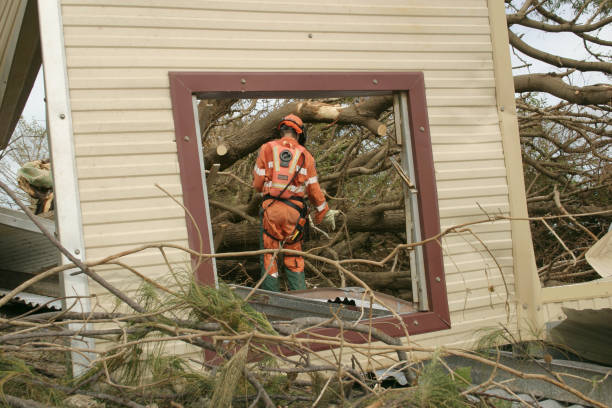 Best Tree Cabling and Bracing  in Washington, WV